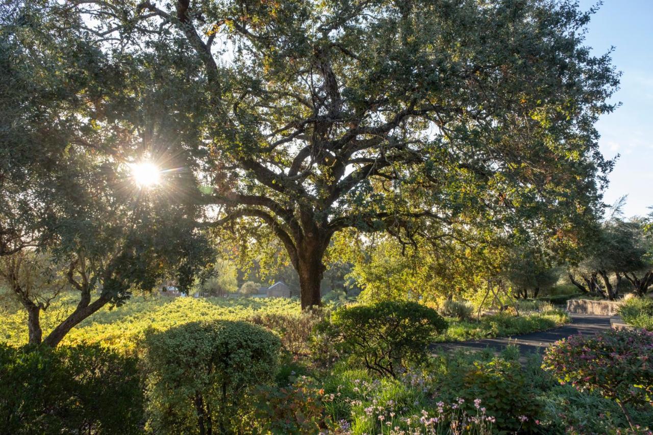Wine Country Inn Napa Valley St. Helena Luaran gambar