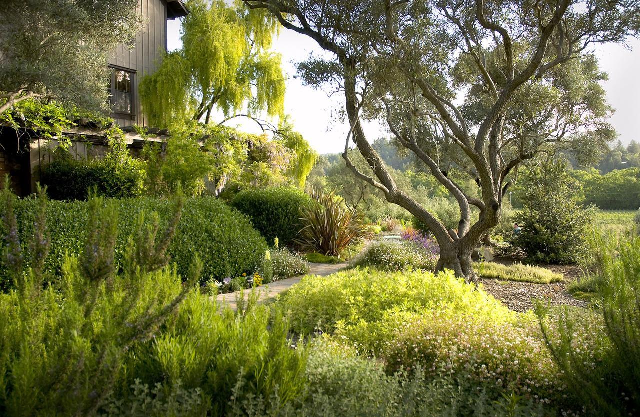 Wine Country Inn Napa Valley St. Helena Luaran gambar