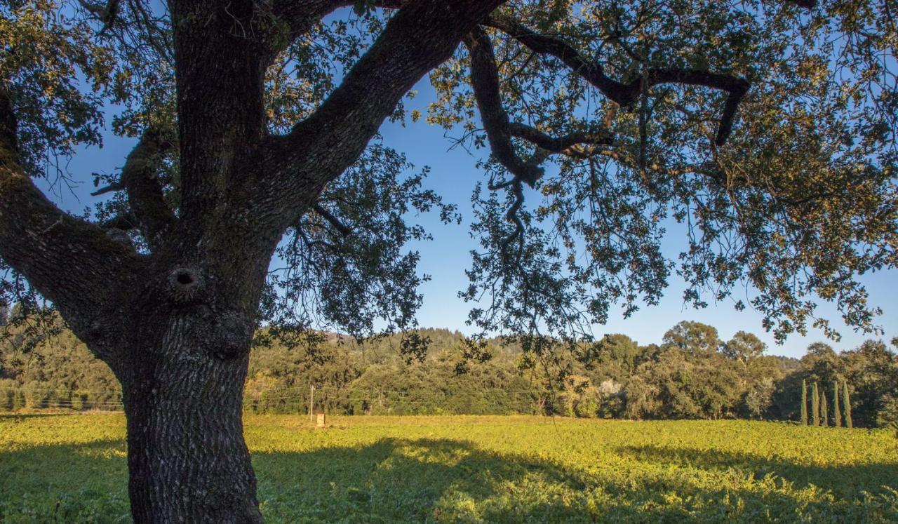 Wine Country Inn Napa Valley St. Helena Luaran gambar