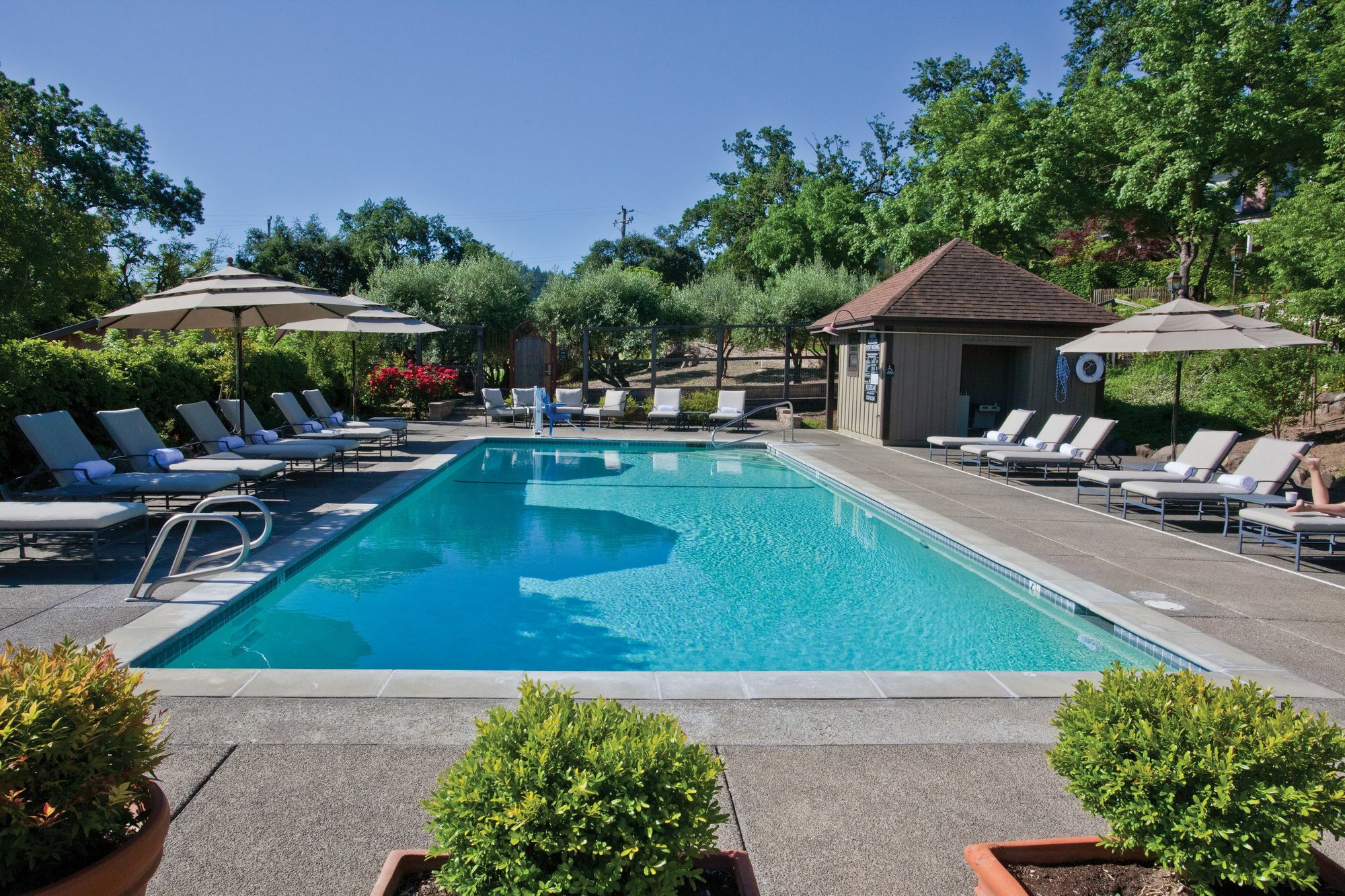 Wine Country Inn Napa Valley St. Helena Luaran gambar